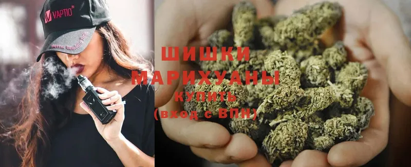 как найти наркотики  Кемь  Бошки Шишки SATIVA & INDICA 